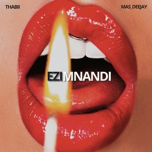 Ezimnandi (Thabii, Mas_Deejay Revisit) (feat. Funky Qla)