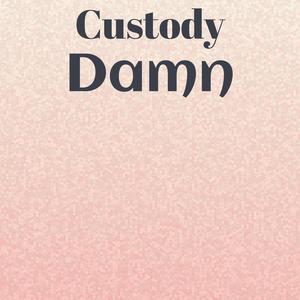 Custody Damn
