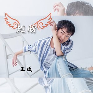 翅膀