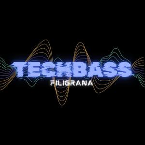 Techbass