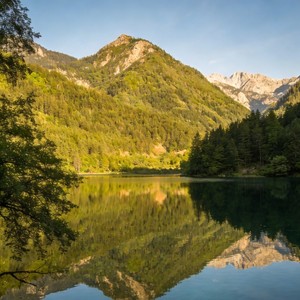 心愿便利贴-金亦&陆琪琪