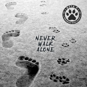 Never Walk Alone (Explicit)