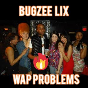WAP Problems (Explicit)