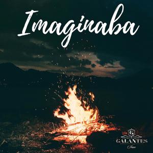 Imaginaba