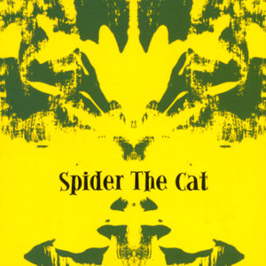 Spider The Cat