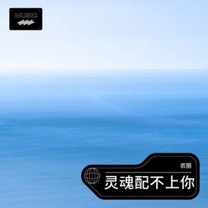 灵魂配不上你
