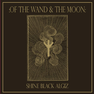 Shine Black Algiz / Hold My Hand - Single