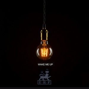 Wake Me Up