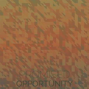 Promised Opportunity