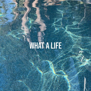 What a Life