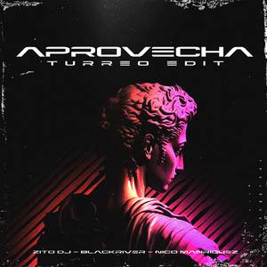 Aprovecha (Turreo Edit)