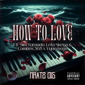 How To Love (feat. Sim Tornado & Combos365) (Explicit)