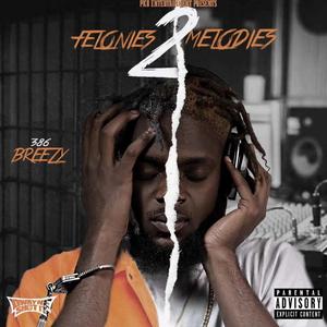 Felonies 2 Melodies (Explicit)