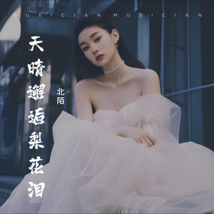 天晴邂逅梨花泪-伴奏