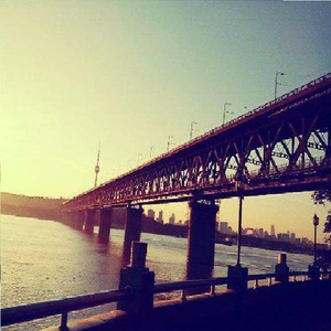 在花儿盛开的时候你为我下了一场雪