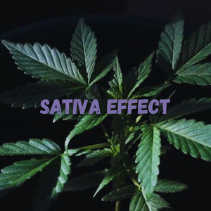 Sativa Effect