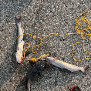 ain't gotta know (Explicit)