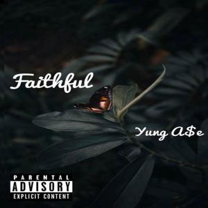 faithful (Explicit)