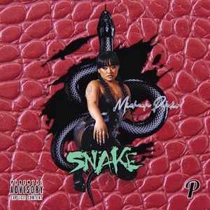 SNAKE (Explicit)