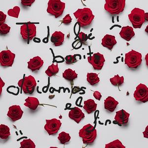 Todo Fué Bonito si Olvidamos el Final : (