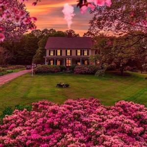 Leaving Shortly(feat. IJR) (Explicit)