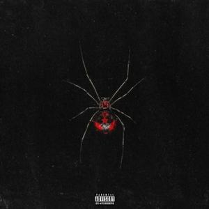 Spider Web (Explicit)