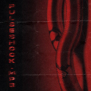pulseshock.mp3 (Slowed)