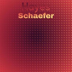 Hayes Schaefer