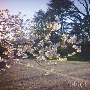 Sakura Flow