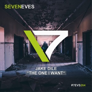 The One I Want (Extended Mix)