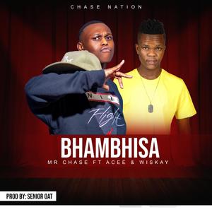 Bhambhisa (feat. Acee & Wiskay)