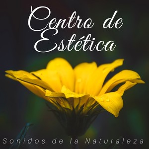 Centro de Estética - Sonidos de la Naturaleza, Música de Fondo Relajante New Age