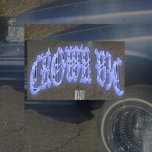 CROWN VIC (Explicit)