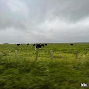 Summer Of Love(feat. Yung Jammie) (Explicit)