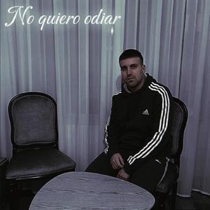 No Quiero Odiar (feat. Parrika Beats) (Explicit)