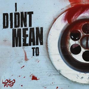 I Didn't Mean To... (Explicit)