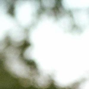 covered sins (feat. syzoth)