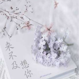 来不及想你 (新版)