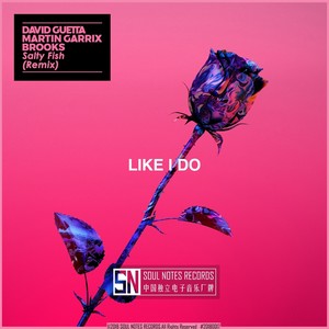 Martin Garrix/Brooks/David Guetta-Like I Do (Salty Fish Remix)