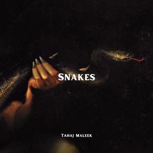 SNAKES (Explicit)