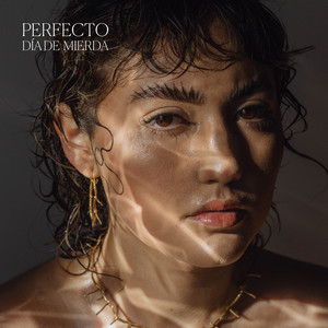Perfecto Dia de Mierda (Explicit)