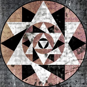 Auxiliary Fields (Original Mix)