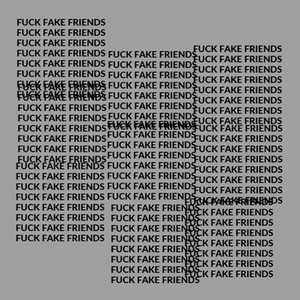 **** Fake Friends (Explicit)