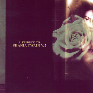 A Tribute to Shania Twain, Vol. 2