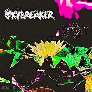 DIGITAL HYGIENE (Explicit)