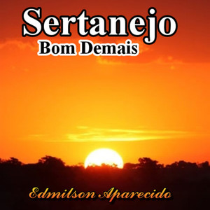 Sertanejo Bom Demais