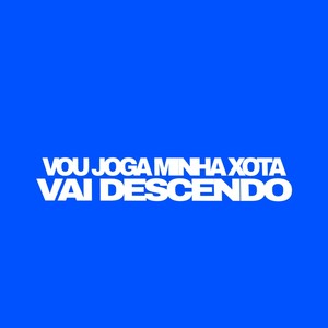 VOU JOGA MINHA XOTA - VAI DESCENDO (Explicit)