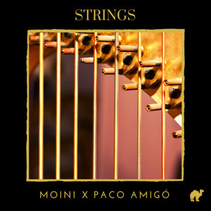 Strings