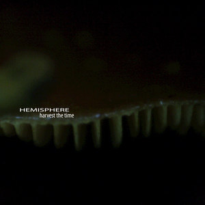 Harvest the Time(original)