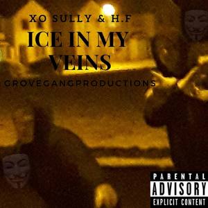 Ice in My Veins (Explicit)